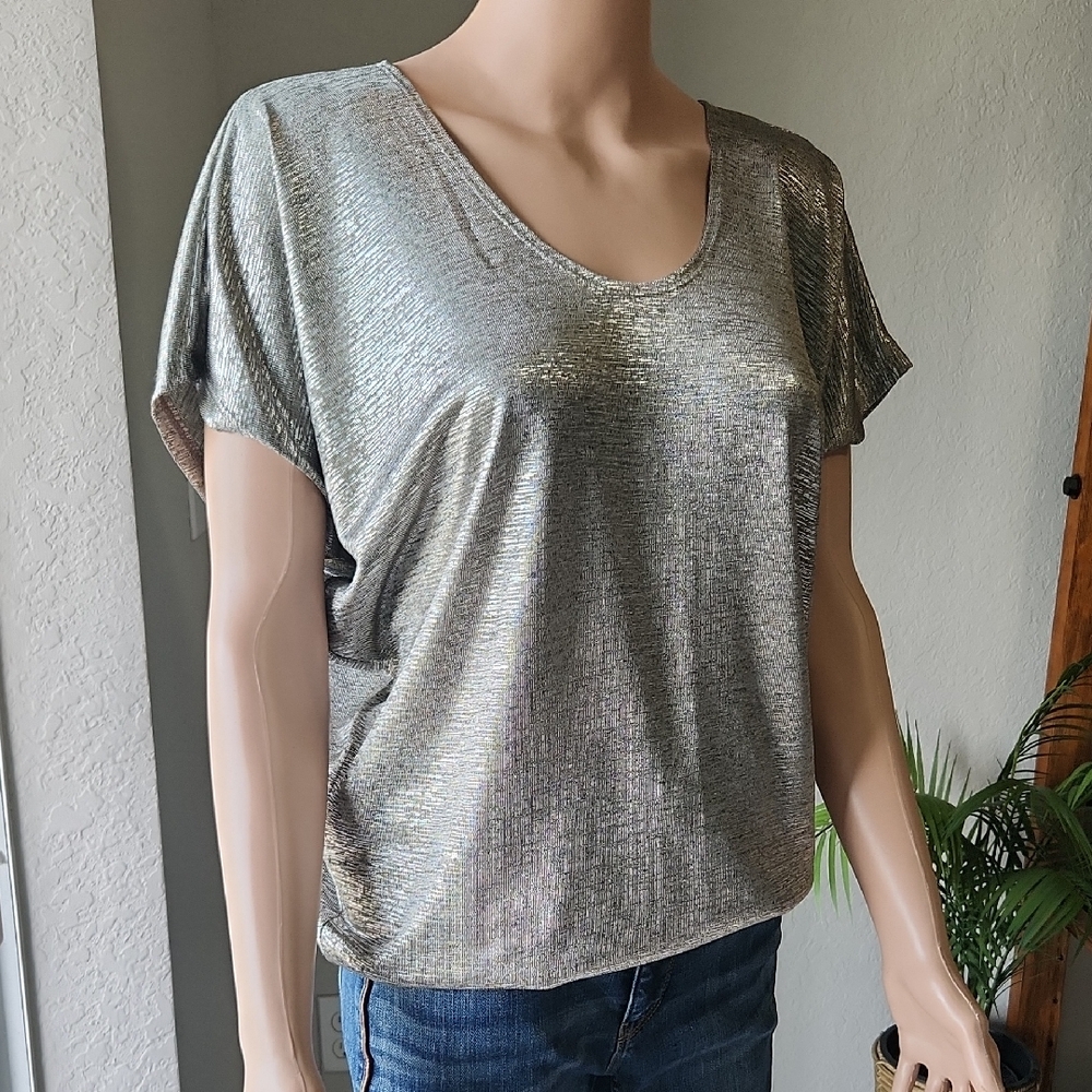 Kim & Cami Metallic Silver Short Sleeve Top
